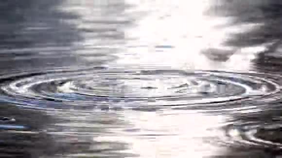 小溪小溪河流水滴水的形态视频的预览图