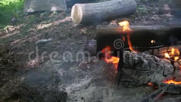 树枝在森林中燃烧的篝火慢动作视频的预览图