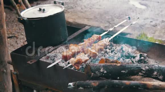 绞肉机上的肉烹煮鱼视频的预览图
