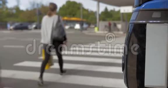 人们骑斑马过马路视频的预览图