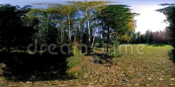 超高清4K360VR虚拟现实的一个城市公园游乐区秋天或夏天的树木和绿草视频的预览图