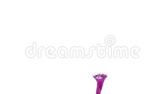 紫色液体的旋风如白色背景上的汽车油漆漂亮的彩色油漆是旋转的孤立透明视频的预览图