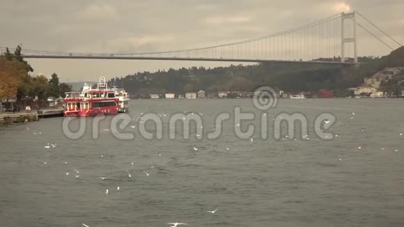 博斯普鲁斯大桥土耳其伊斯坦布尔视频的预览图
