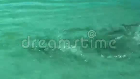水上的涟漪视频的预览图