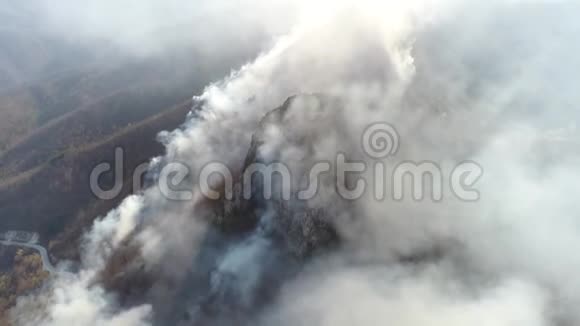 空中拍摄的浓烟笼罩的树林摄像机正在穿越浓烟视频的预览图