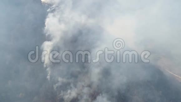 空中移动的画面火在树林里燃烧视频的预览图