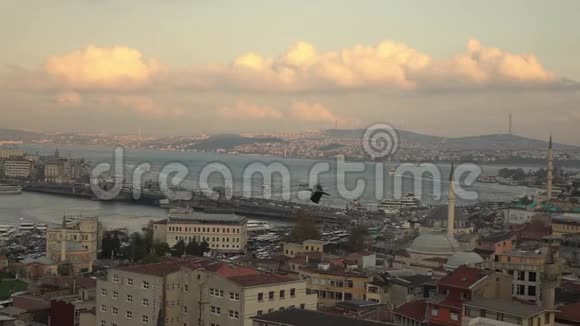 鸟瞰土耳其伊斯坦布尔市视频的预览图