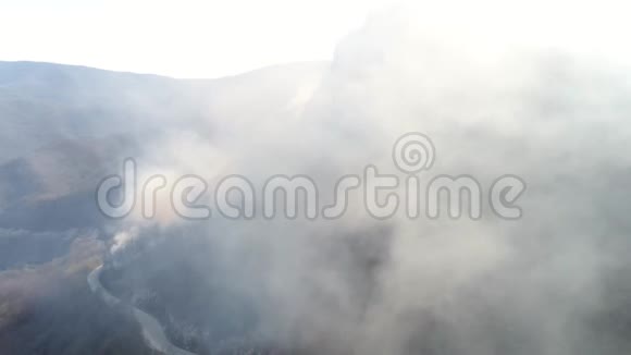 空中拍摄的浓烟笼罩的树林摄像机正在穿越浓烟视频的预览图