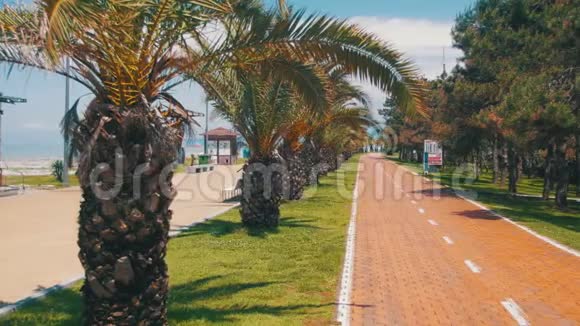 城市度假村的自行车道和棕榈树视频的预览图