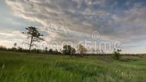 俄罗斯时间流逝早春在大草原上雷云在冬小麦的田野上移动视频的预览图