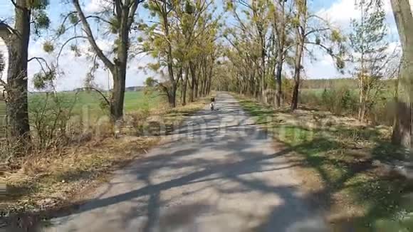 一个女孩骑着脚踏车在有树的小巷里视频的预览图
