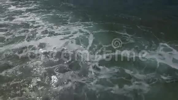 从海浪中起飞视频的预览图