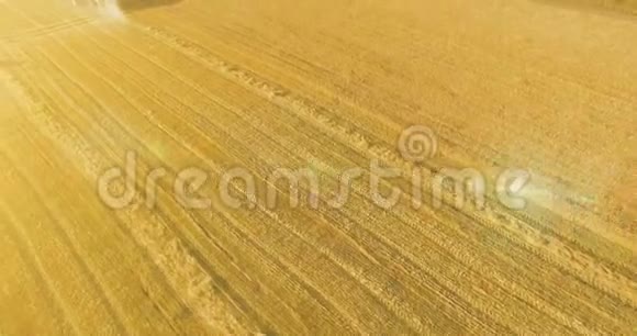 超高清4K鸟瞰图联合收割机上的低空飞行在黄色的农村地区收割小麦视频的预览图