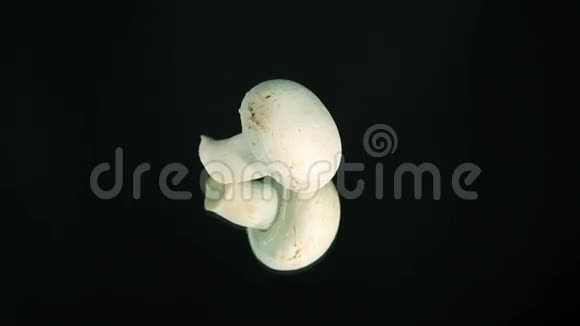 香蒲蘑菇白木耳视频的预览图