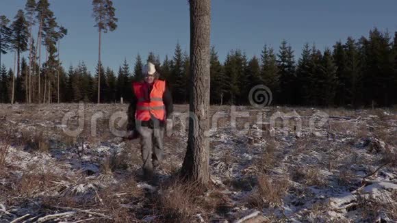 伐木工人在森林里的树旁用电锯视频的预览图