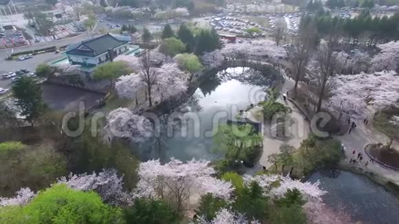 韩国庆州博门公园博门池塘视频的预览图