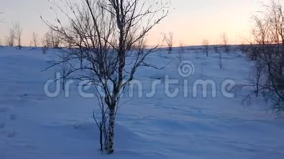 芬兰拉普兰美丽的冬季景观视频的预览图