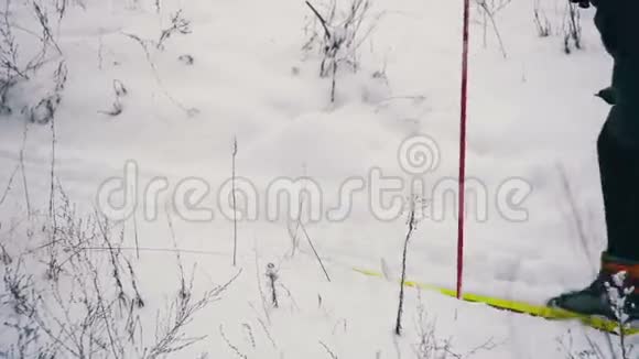 滑雪者在冬季森林里骑马视频的预览图