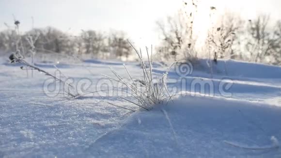 冰雪覆盖的阳光在冬天的雪落下美丽的阳光照耀着大自然视频的预览图