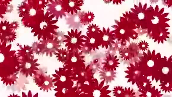 白色上飞舞的红花视频的预览图