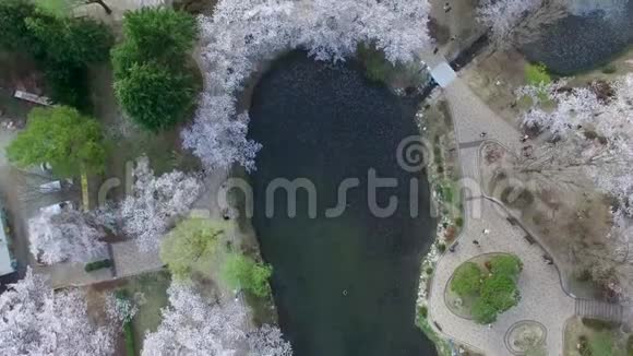 韩国庆州博门公园博门池塘视频的预览图