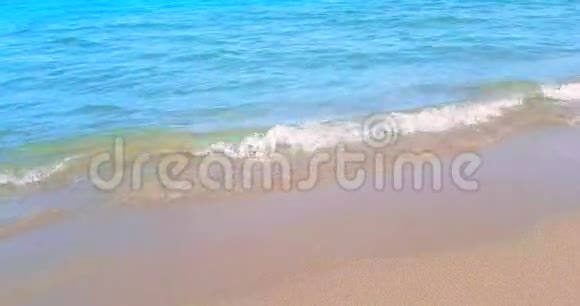 带金色沙滩的热带加勒比海度假放松和旅行视频的预览图