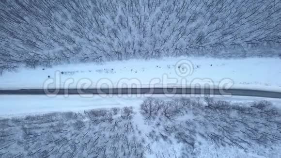 在冬季森林道路上驾驶汽车的鸟瞰图冬季景观视频的预览图