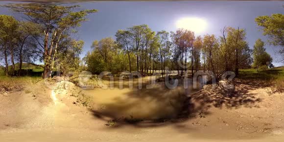 一条河流在美丽的山林景观中流过岩石的虚拟现实视频的预览图