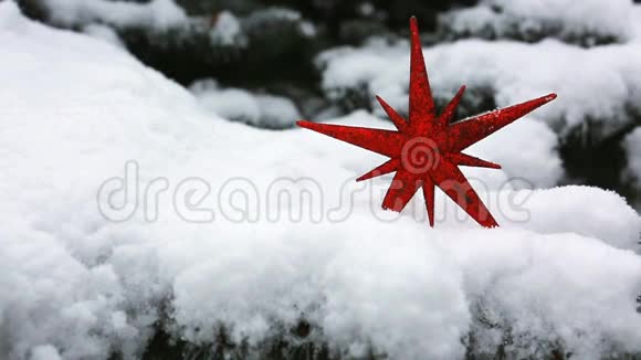 白雪覆盖的红色圣诞星视频的预览图