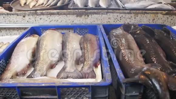 柜台市场的新鲜海鱼视频的预览图
