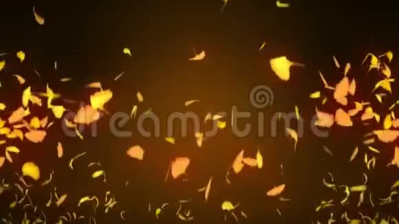 秋叶飘落秋叶五彩纸屑CG银杏循环动画美丽的秋天橙色背景视频的预览图