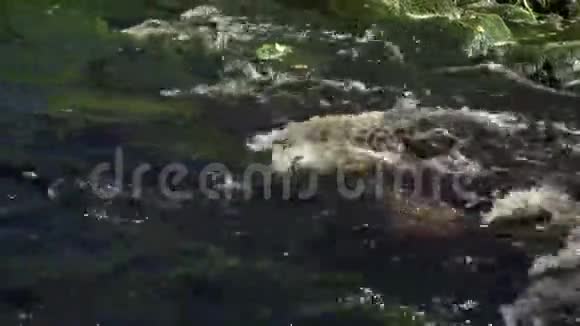山河近瀑布视频的预览图