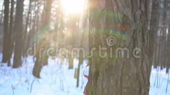 冬天公园里的年轻美女玩得很开心微笑着慢动作录像视频的预览图