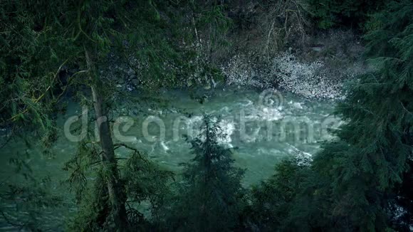 荒野森林中的大型河流视频的预览图