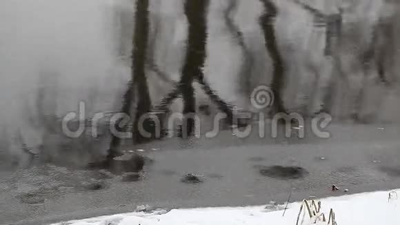 冬季湖泊景观视频的预览图