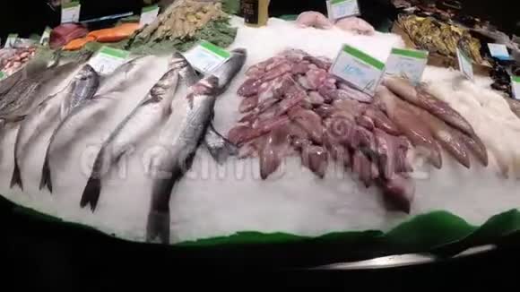 拉波奎利亚鱼市场海鲜柜台巴塞罗那西班牙视频的预览图