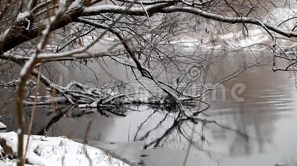 冬季湖泊景观视频的预览图