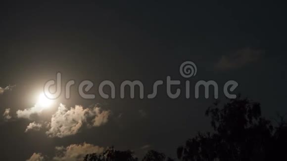 满月通过乌云和树木在夜空中移动时间流逝视频的预览图