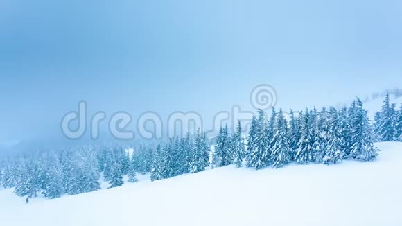 美丽的冬季景观白雪覆盖的树木冬天的山视频的预览图