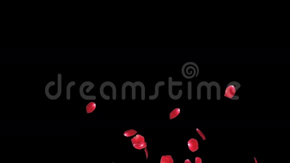 玫瑰花瓣飞舞卢马马特股票镜头视频的预览图
