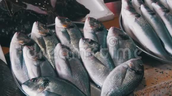 街市新鲜海鱼视频的预览图