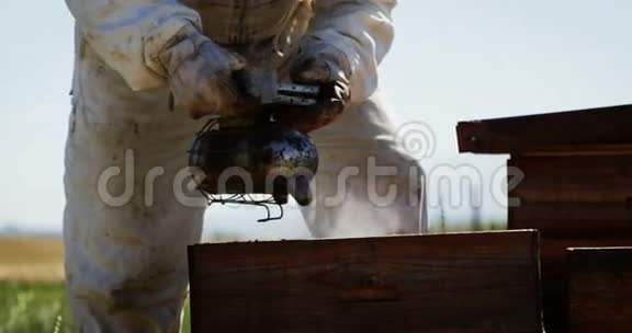 养蜂人抽着蜂箱视频的预览图