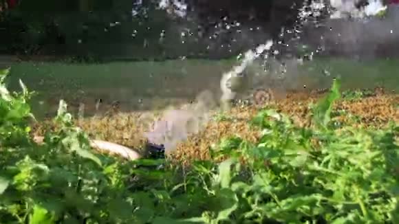 自动草坪在花园草地上缓慢喷洒视频的预览图