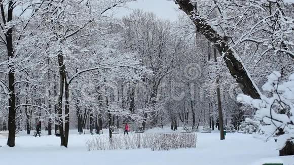 冰雪覆盖公园的冬季景观视频的预览图