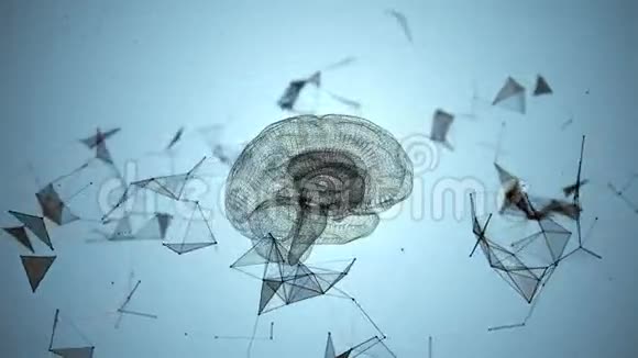 人脑是由旋转粒子形成的视频的预览图