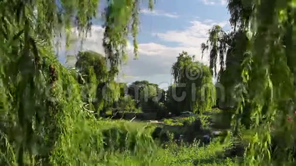 植物园视频的预览图