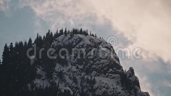 美丽的冬景白雪覆盖的树木视频的预览图