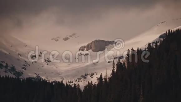 美丽的冬景白雪覆盖的树木视频的预览图