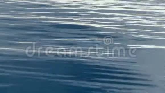 海水波浪表面和反射视频的预览图