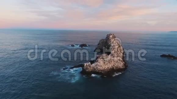 从悬崖上飞到海里鸟在海里的岩石上有鸟在海中的岛屿视频的预览图